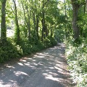 Sharp Rock Road
