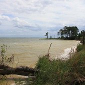 Dameron Marsh Natural Area Preserve