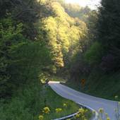 Route 58-Scott County