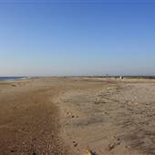 Assateague Island National Seashore