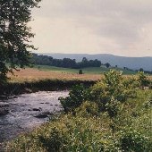 Scenics - Lexington