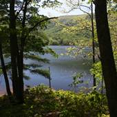 Camp Sugar Hollow
