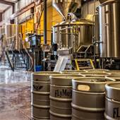 Flying Mouse Brewery