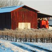 Pinehaven Vineyard and Farm