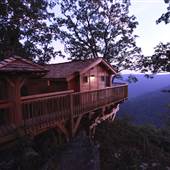 Golden Eagle Tree House