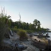 Hughlett Point Natural Area Reserve