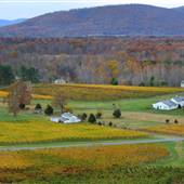 Veritas Vineyard & Winery