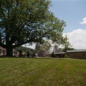 Jacksonville Center for the Arts