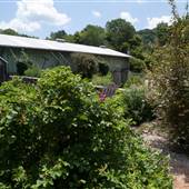 Beagle Ridge Herb Farm