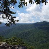 Scenics - Nelson County