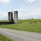 Rockbridge Vineyard