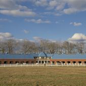 Back Bay Horse Farm