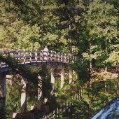 Footbridge Over Pond
