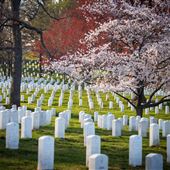 Arlington National Cemetery & US Marine Corps War Memorial