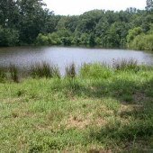 Berkeley Pond