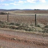 Tatum Farm Property