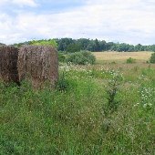 Culpeper Battlefields