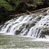 Pinnacle Natural Area Preserve