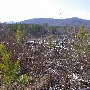 Bridgewater Clearcut