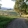 Myers Property