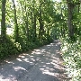 Sharp Rock Road