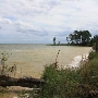 Dameron Marsh Natural Area Preserve