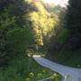 Route 58-Scott County