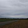 Williamsville Road