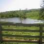 DeLeonardis Farm