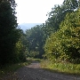 Forest Route 384