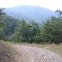 Forest Route 384