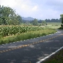 Scenic Roadshots - Rt. 231