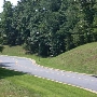 Scenic Roadshots Ivy
