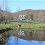 Beahm Farm