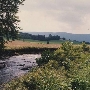 Scenics - Lexington