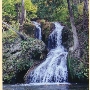 Waterfall -Shenandoah Valley Campground