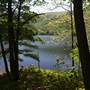 Camp Sugar Hollow