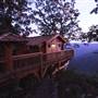 Golden Eagle Tree House