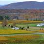 Veritas Vineyard & Winery