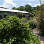 Beagle Ridge Herb Farm