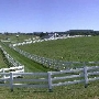 Mirador Estate and Horse Farm