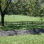 North Wales Estate