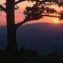 Blue Ridge Parkway - Shenandoah Valley