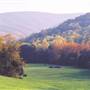 Camp Bethel, Fincastle