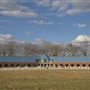 Back Bay Horse Farm