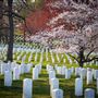 Arlington National Cemetery & US Marine Corps War Memorial