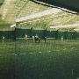 Westwood Raquet Club