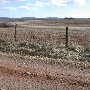 Tatum Farm Property