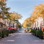 Fall in Alexandria