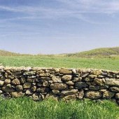 Stone Fence - Battlefield